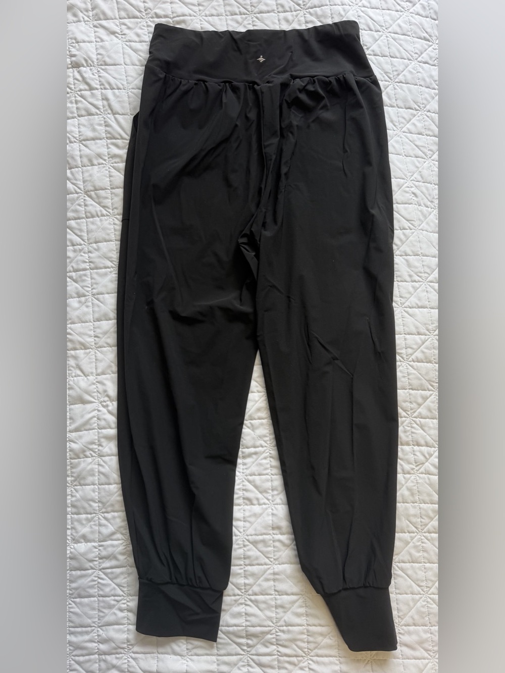 Halara Joggers - Picture 3 of 4